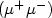 $ (\mu^+\mu^-)$