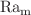 $$\hbox {Ra}_{\mathrm{m}}$$