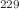 $$^{229}$$