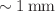 $$\sim 1\,\hbox {mm}$$