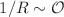 $$1/R \sim {\mathcal {O}}$$