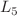 Mathematical equation: $$L_5$$