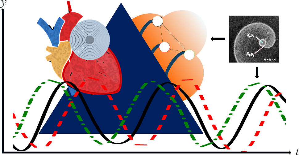 Graphical abstract