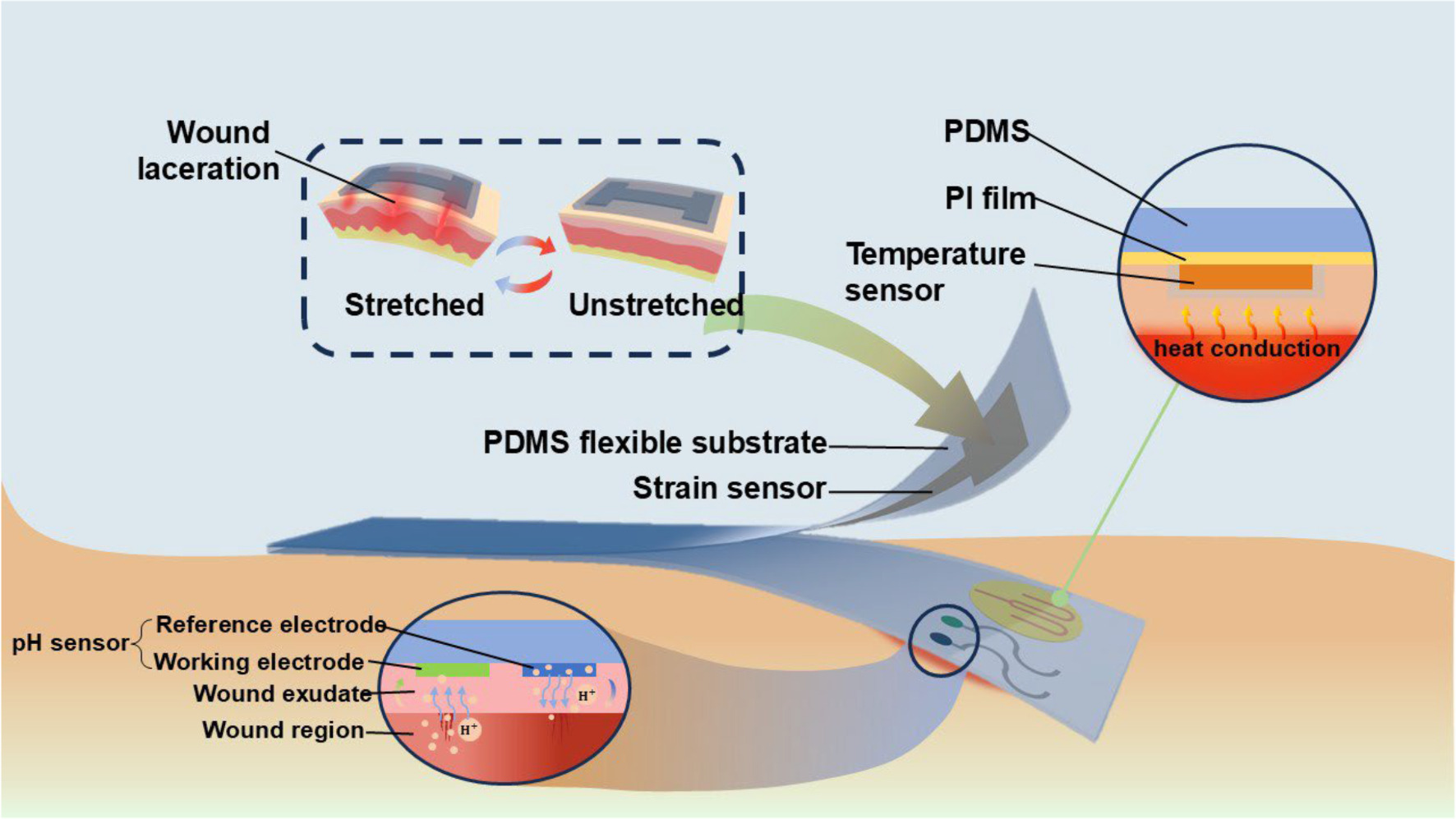 Graphical abstract