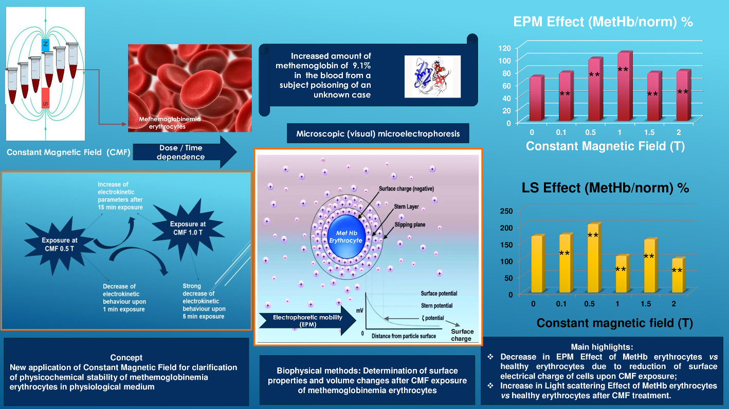Graphical abstract